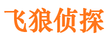 东丽寻人公司